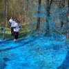 Photos Cardijn Color Run du 13/04/23